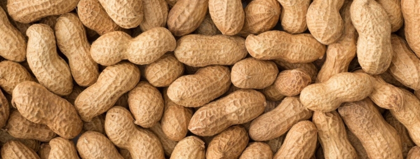 Scientists Find a Built-In Weapon Against Peanut Allergies: Human Spit