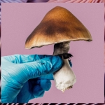 Mind-altering substances are (still) falling short in clinical trials