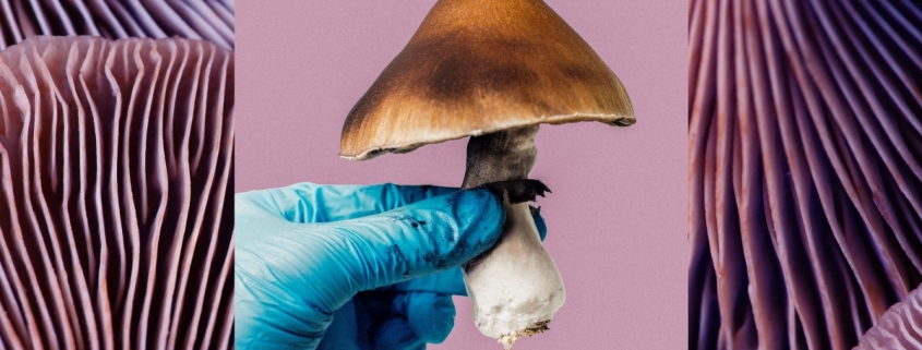 Mind-altering substances are (still) falling short in clinical trials Mind-altering substances are (still) falling short in clinical trials