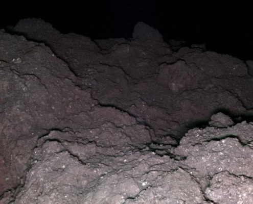 Asteroid Reveals The 5 Key Genetic Ingredients For Life on Earth : ScienceAlert