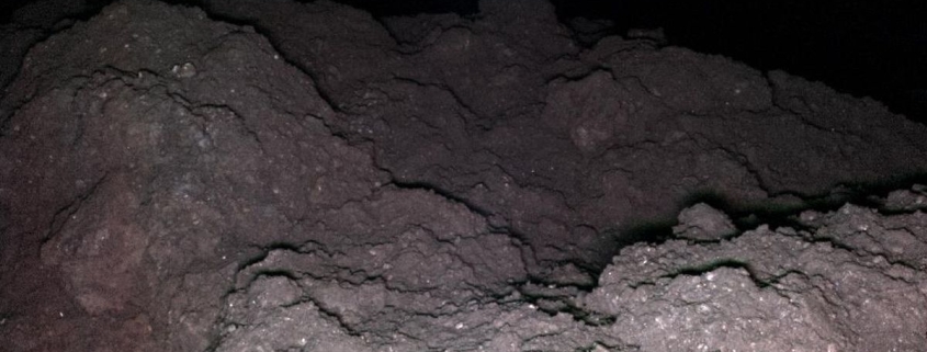 Asteroid Reveals The 5 Key Genetic Ingredients For Life on Earth : ScienceAlert