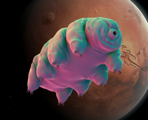 One Simple Trick Could Help Tardigrades Survive in Martian Dirt : ScienceAlert