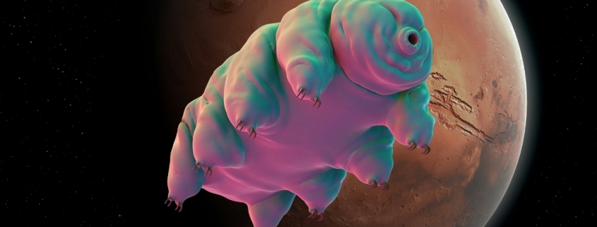 One Simple Trick Could Help Tardigrades Survive in Martian Dirt : ScienceAlert
