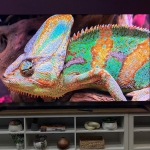 TCL X11L review: One of the best out-of-the-box TVs that’s entered our testing lab