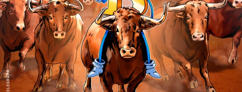 What Will Restart The Rally?