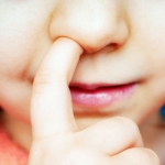 Nose-Picking May Have a Surprise Link With Alzheimer’s, Study in Mice Suggests : ScienceAlert Nose-Picking May Have a Surprise Link With Alzheimer’s, Study in Mice Suggests : ScienceAlert