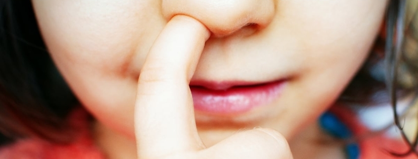 Nose-Picking May Have a Surprise Link With Alzheimer’s, Study in Mice Suggests : ScienceAlert Nose-Picking May Have a Surprise Link With Alzheimer’s, Study in Mice Suggests : ScienceAlert