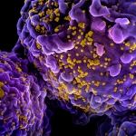 Norwegian Man Cured of HIV by His Brother’s Stem Cells