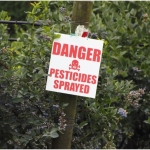 Beyond “Safe Levels”: Study Challenges What We Know About Pesticides and Cancer