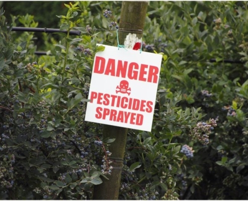 Beyond “Safe Levels”: Study Challenges What We Know About Pesticides and Cancer Beyond “Safe Levels”: Study Challenges What We Know About Pesticides and Cancer