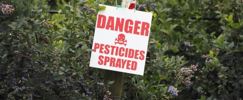 Beyond “Safe Levels”: Study Challenges What We Know About Pesticides and Cancer