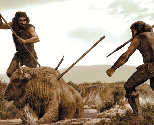 Disappearing megafauna may have prompted a stone tool revolution Disappearing megafauna may have prompted a stone tool revolution