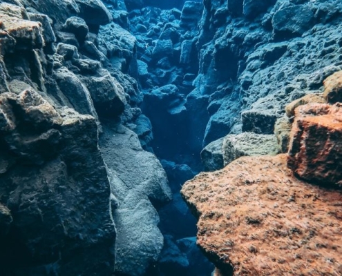 Scientists Uncover Earth’s Hidden “Gold Kitchen” Beneath the Ocean Floor Scientists Uncover Earth’s Hidden “Gold Kitchen” Beneath the Ocean Floor