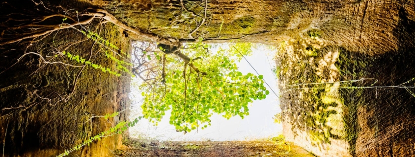 Prolonged AI use can be hazardous to your health and work: 4 ways to stay safe