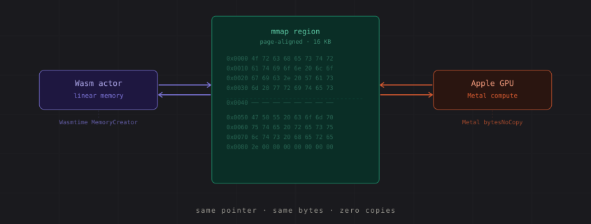 Zero-Copy GPU Inference from WebAssembly on Apple Silicon