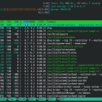 htop 3.5 System Monitor Released with Backtrace Screen, New Meters