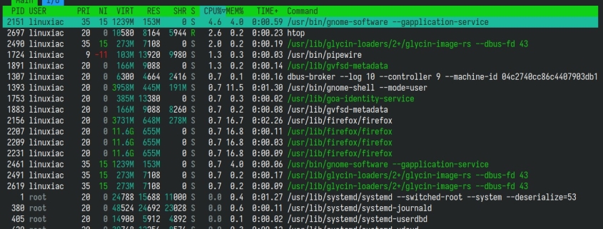 htop 3.5 System Monitor Released with Backtrace Screen, New Meters
