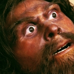 You Are Not Prepared to Learn the Size of Neanderthal Infants