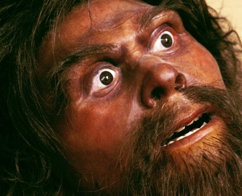 You Are Not Prepared to Learn the Size of Neanderthal Infants